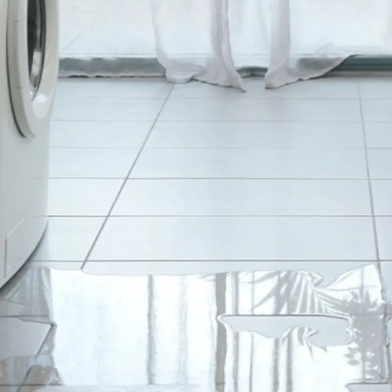 Appliance Leak Cleanup in Clarksville, TX