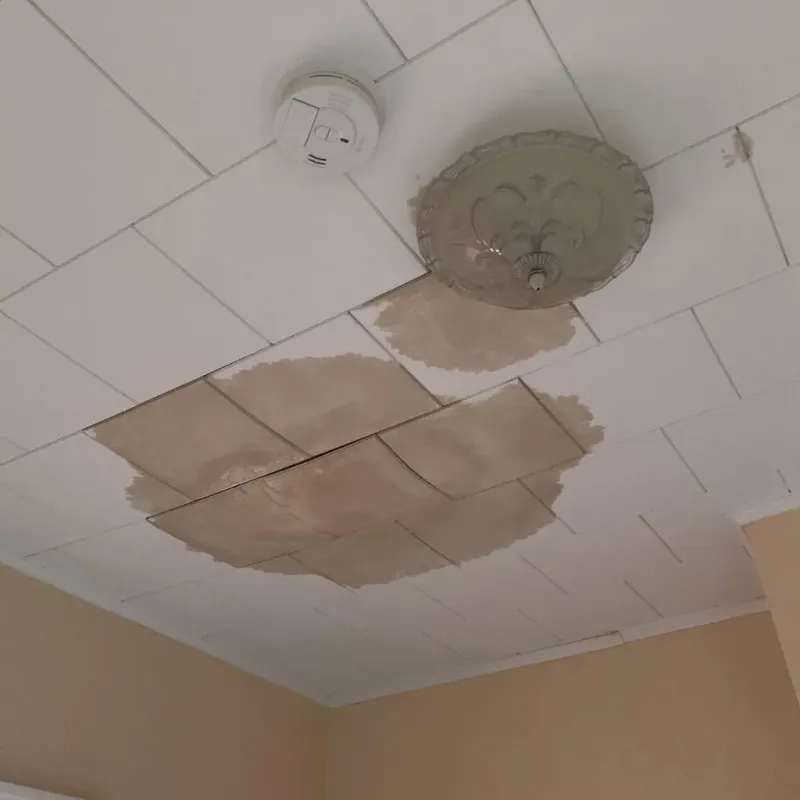 Ceiling Water Damage Repair in Clarksville, TX