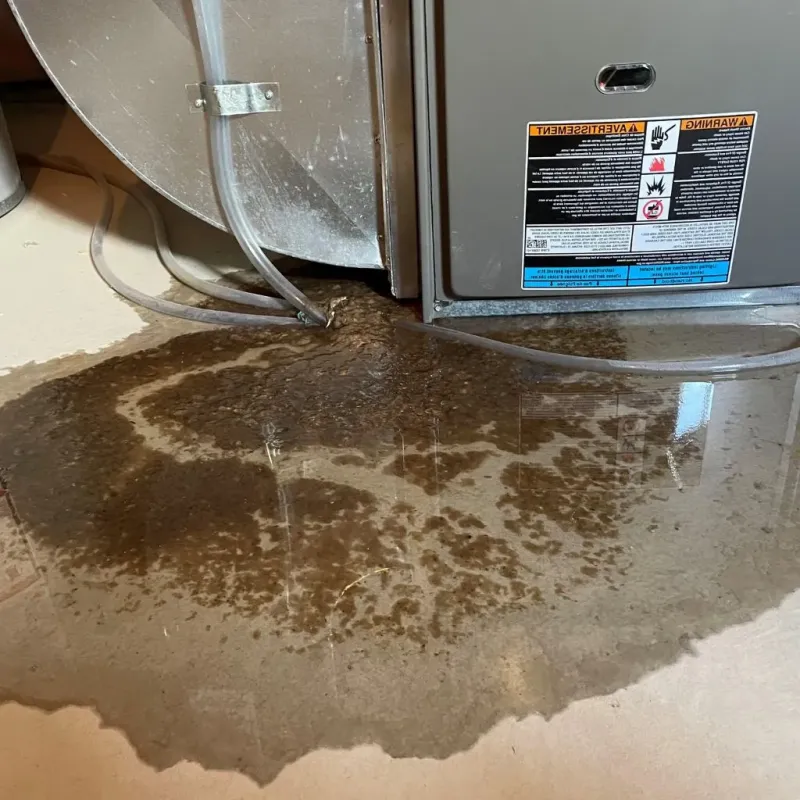 Pipe Burst and Leak Restoration in Clarksville, TX