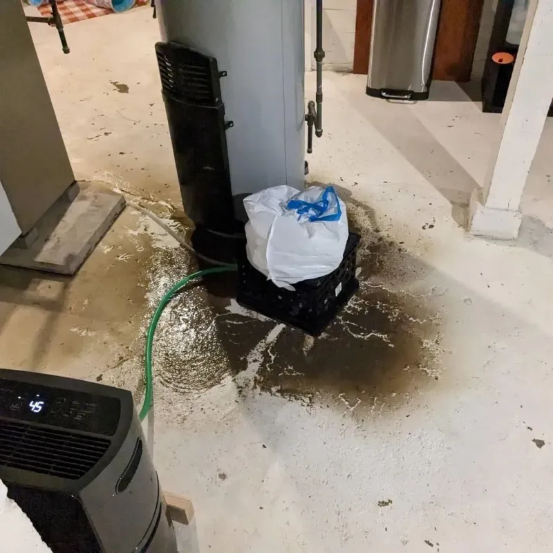 Sewage Backup Cleanup Service in Clarksville, TX